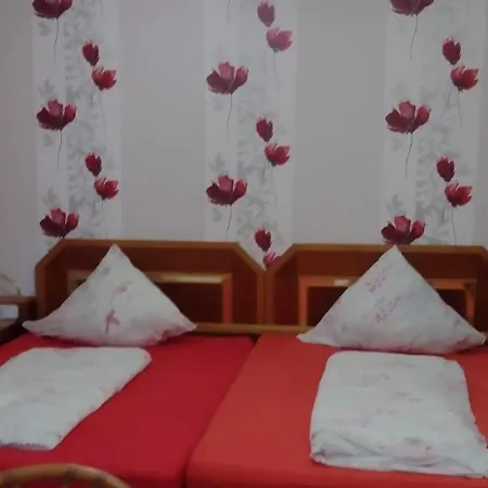 酒店 Zur Rose 巴特卡尔斯哈芬