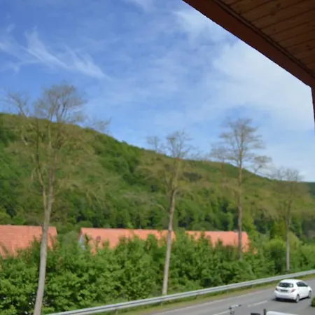 Hotel Zur Rose 3*